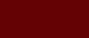 Burgundy RAL 3004